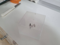 ELECTROLYSIS OF WATER